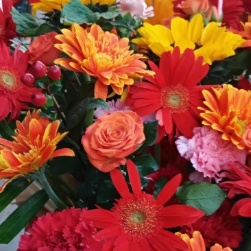 绿植花卉