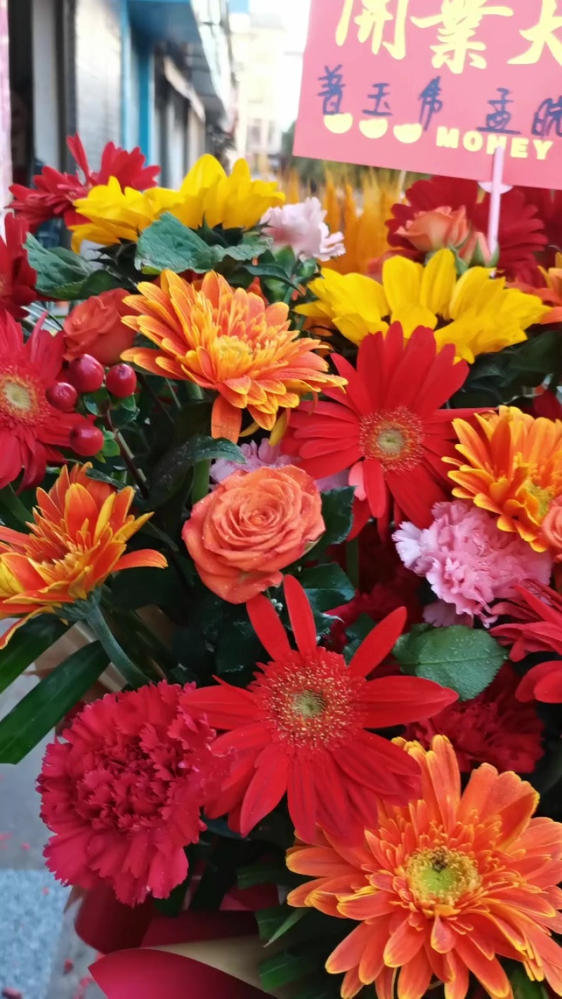 绿植花卉