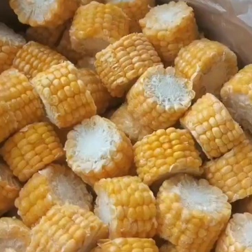 水果玉米段，冷冻，3CM宽，20斤箱装，袋子装50斤