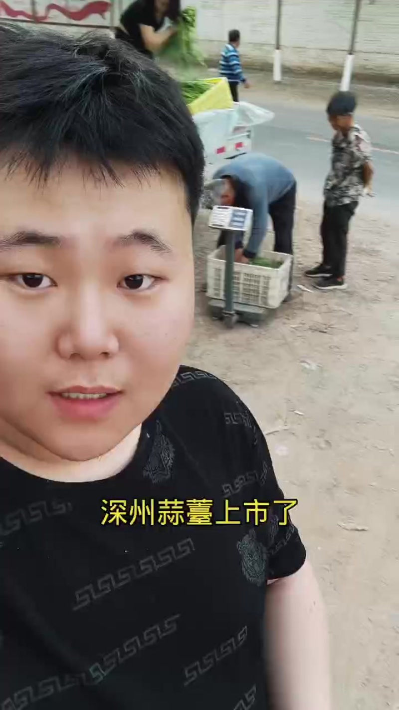 深州蒜薹上市，农户直收，当面议价，0.5-0.6