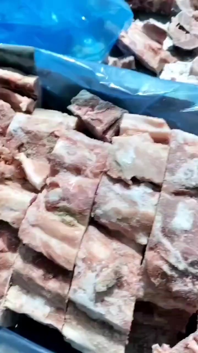 猪骨背