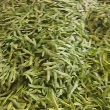 油豆