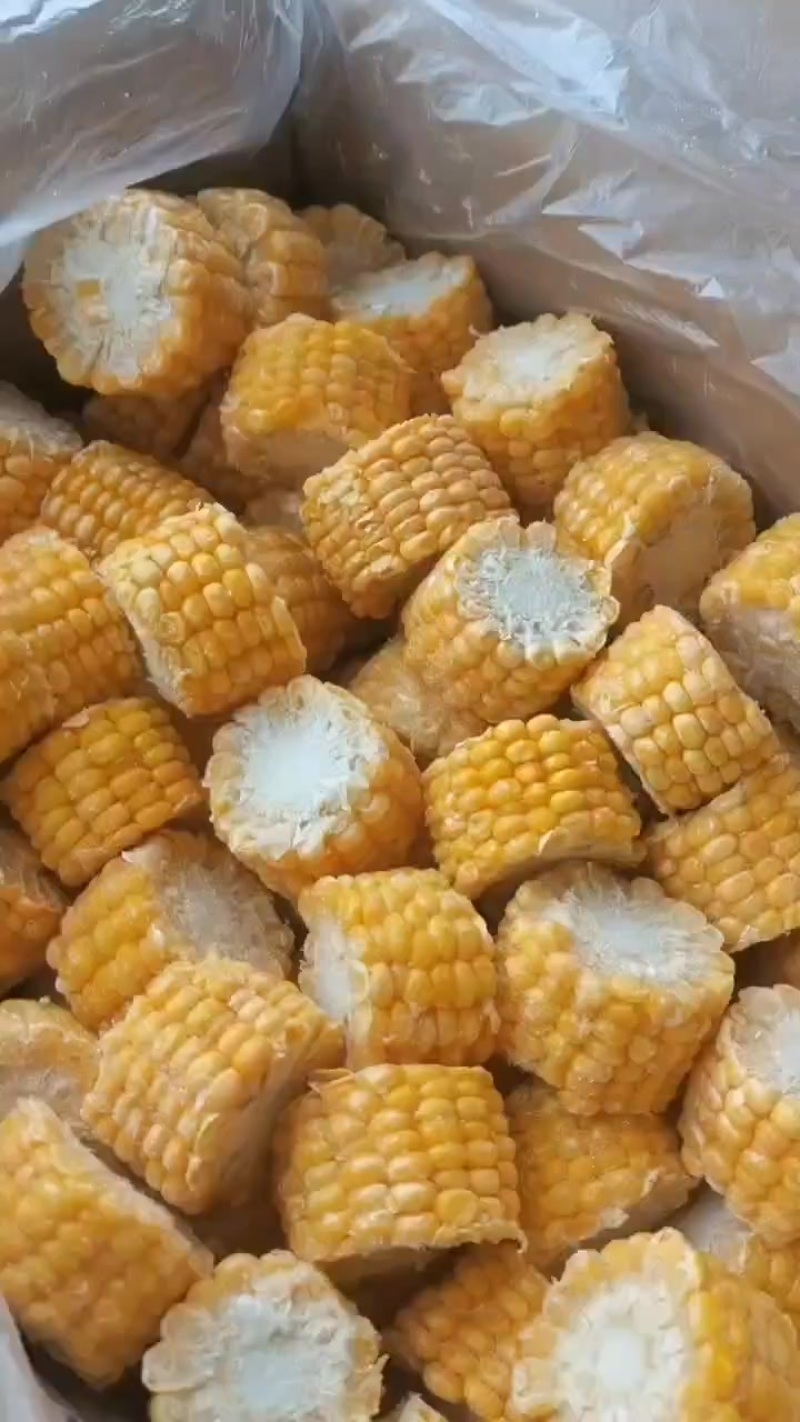 水果玉米段，冷冻，3CM宽，20斤箱装，袋子装50斤