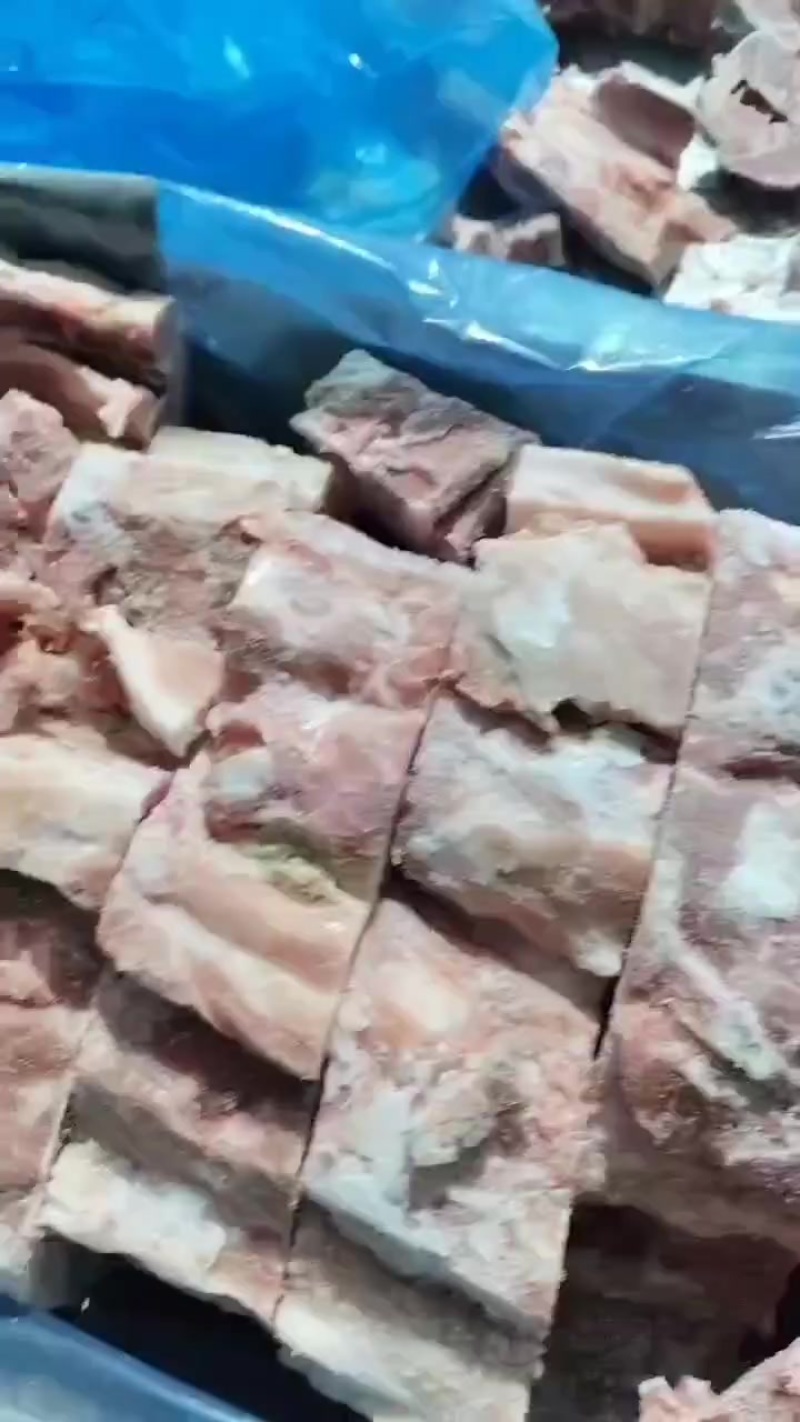 背骨