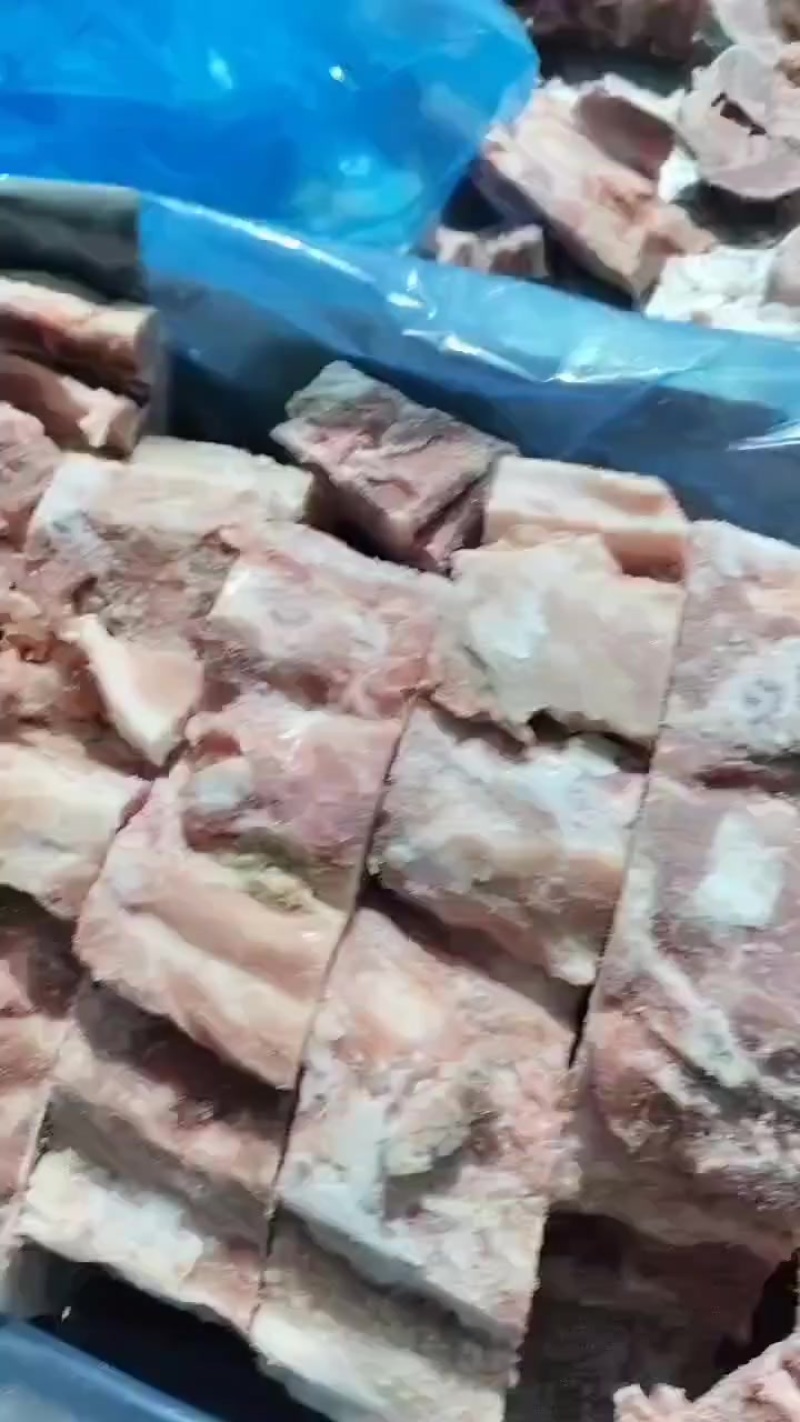 背骨