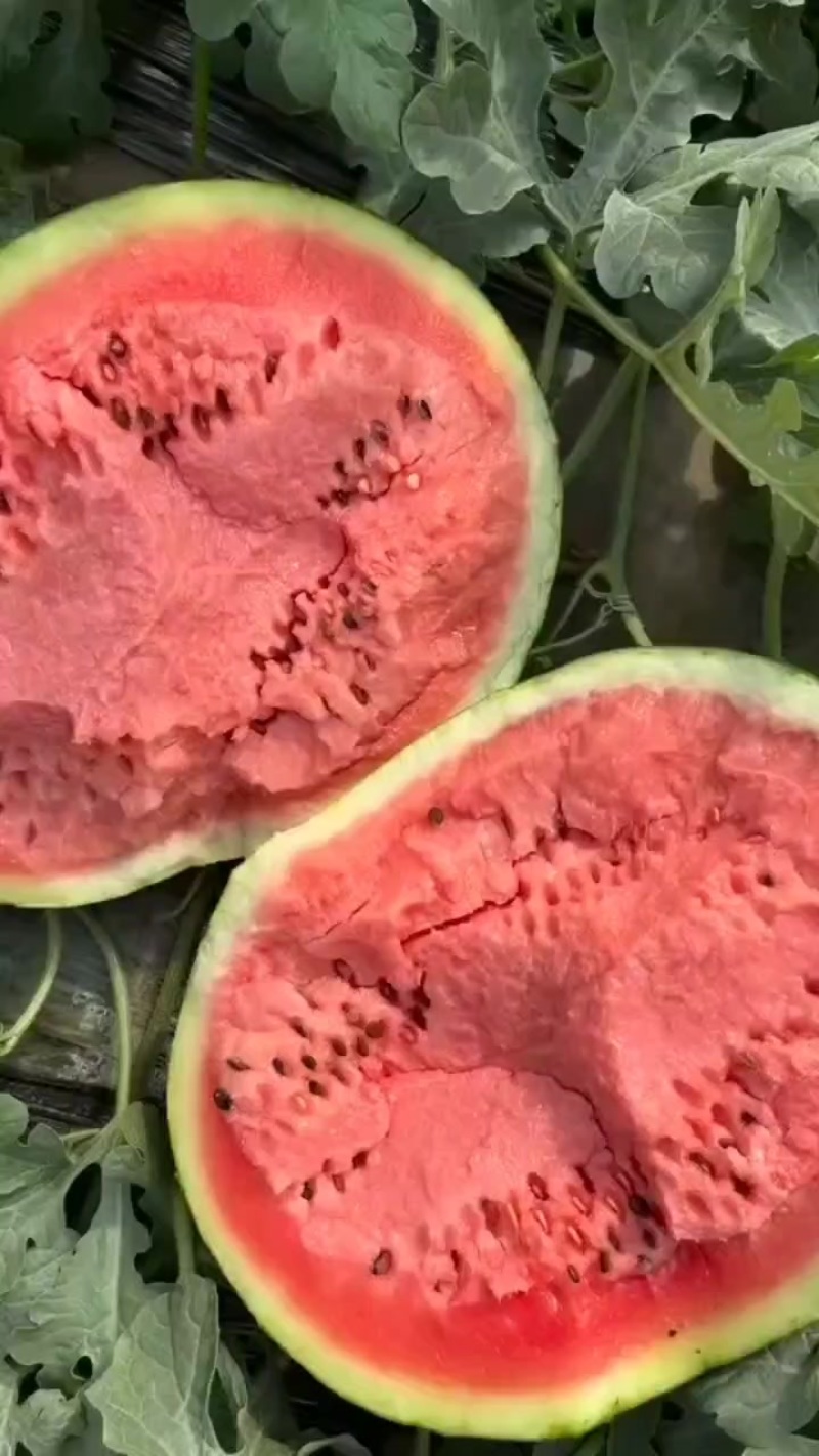 甜王