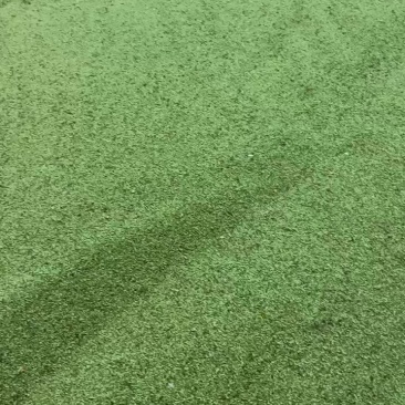 猫爪草种子