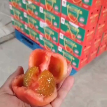 普罗旺斯西红柿