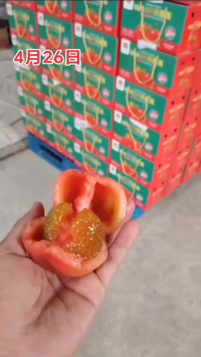 普罗旺斯西红柿