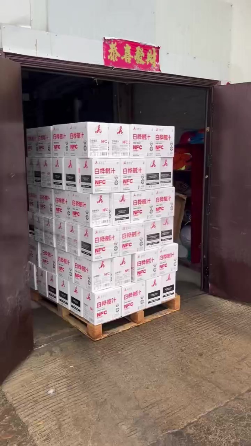东北桦树汁