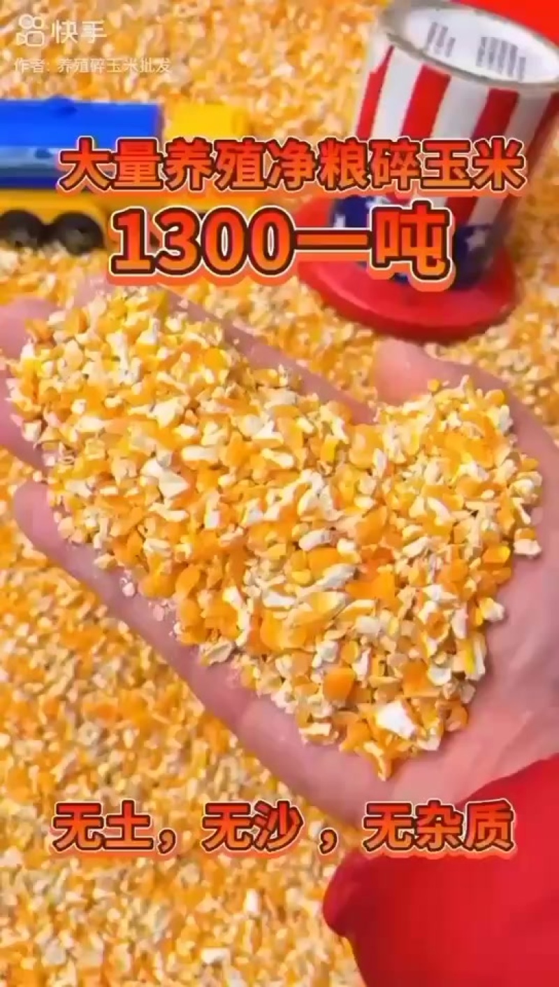 碎玉米出售长期有货品质优等