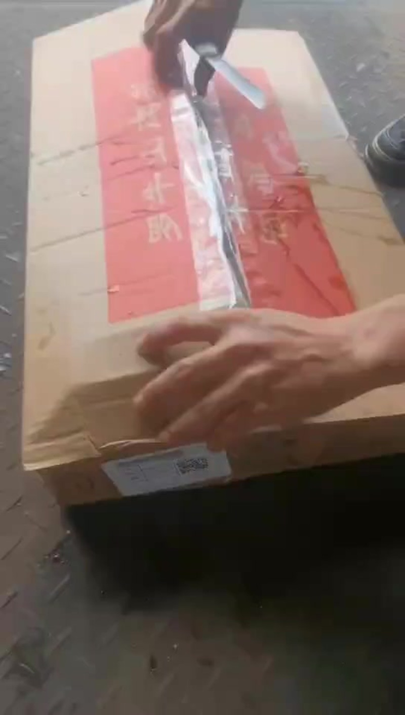 肥猪龙骨