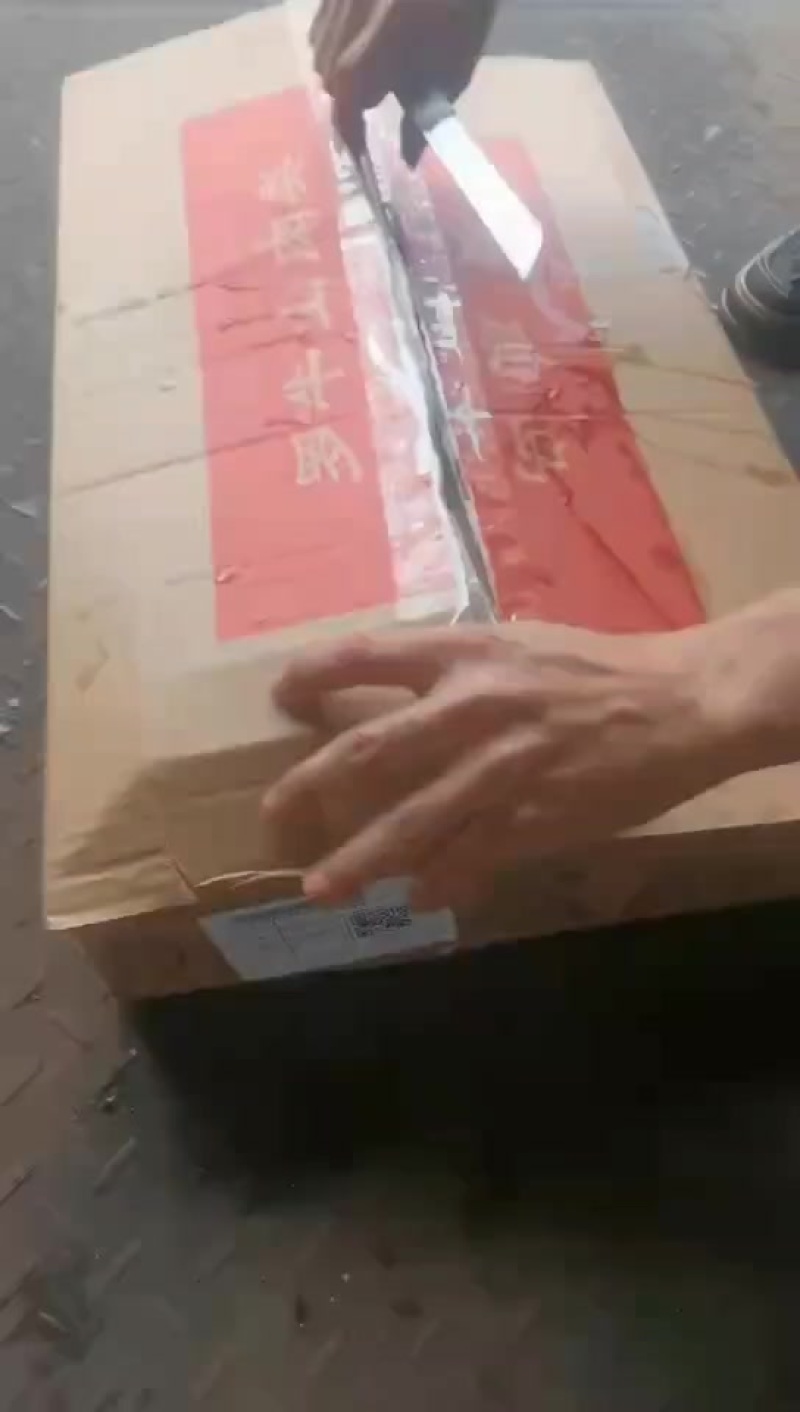 肥猪龙骨
