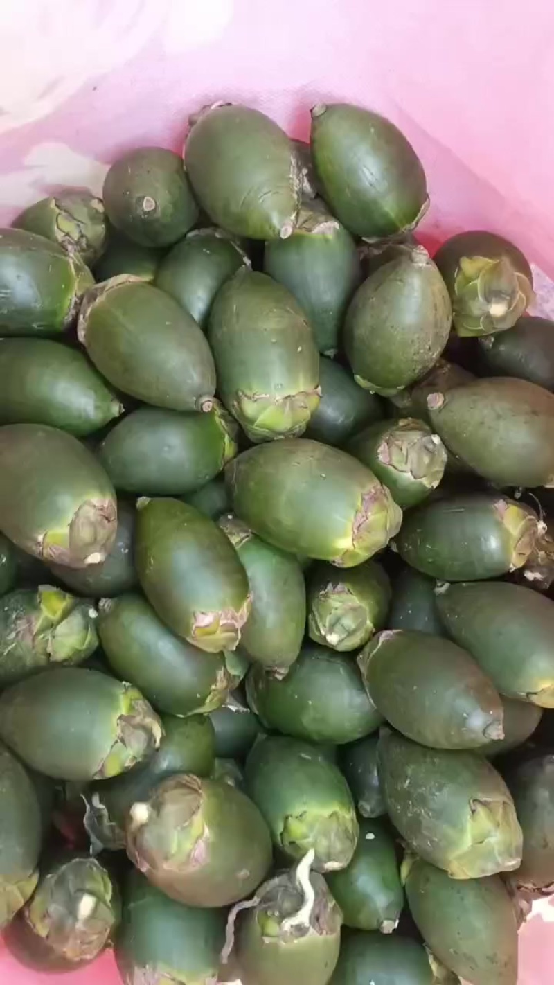 槟榔青春果