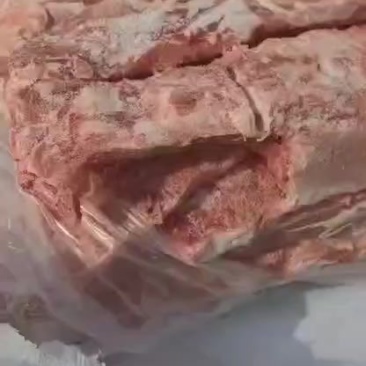 肥猪龙骨