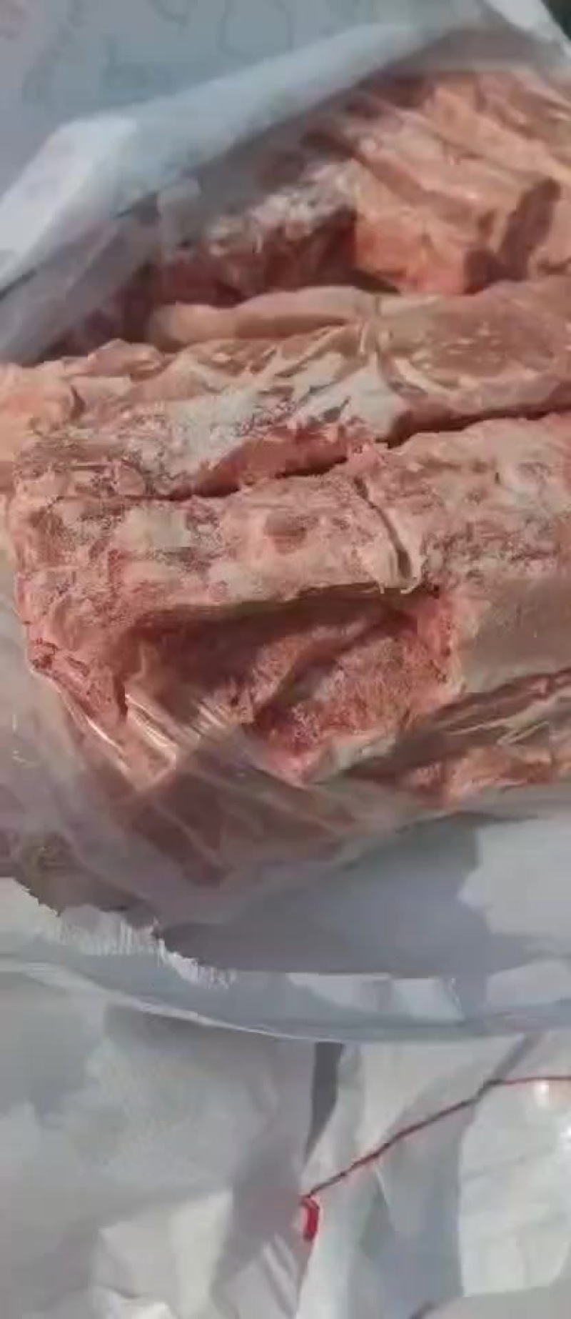 肥猪龙骨