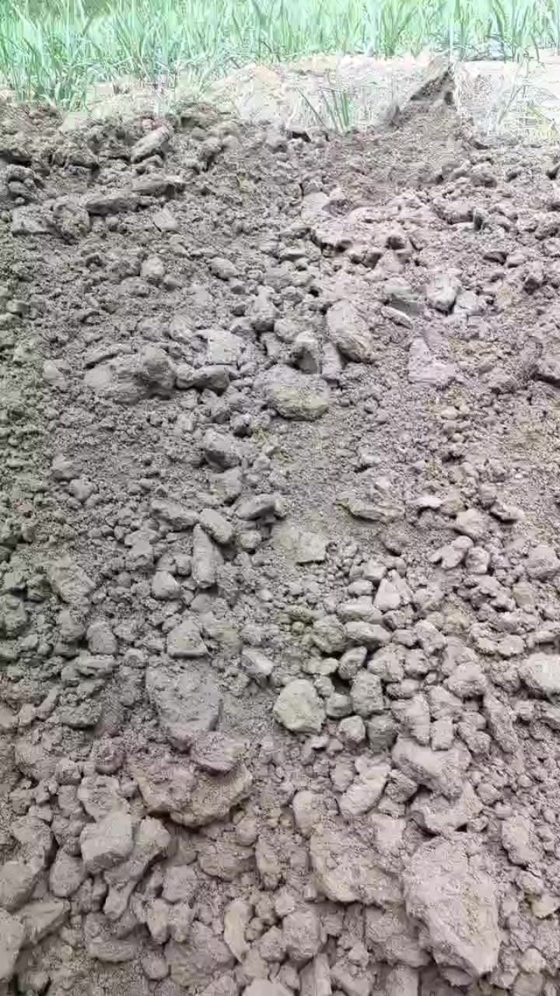 饲料，木薯渣，适合，牛，猪，羊，鸡，鸭，鱼，
