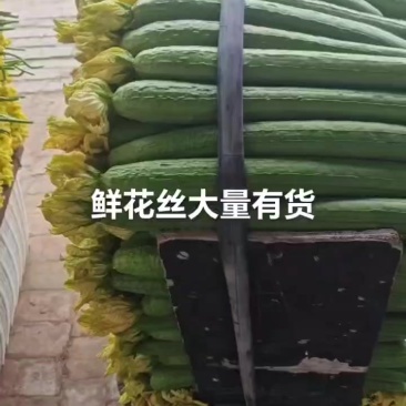 鲜花丝瓜