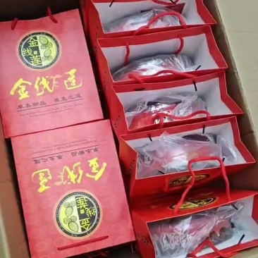 金线莲