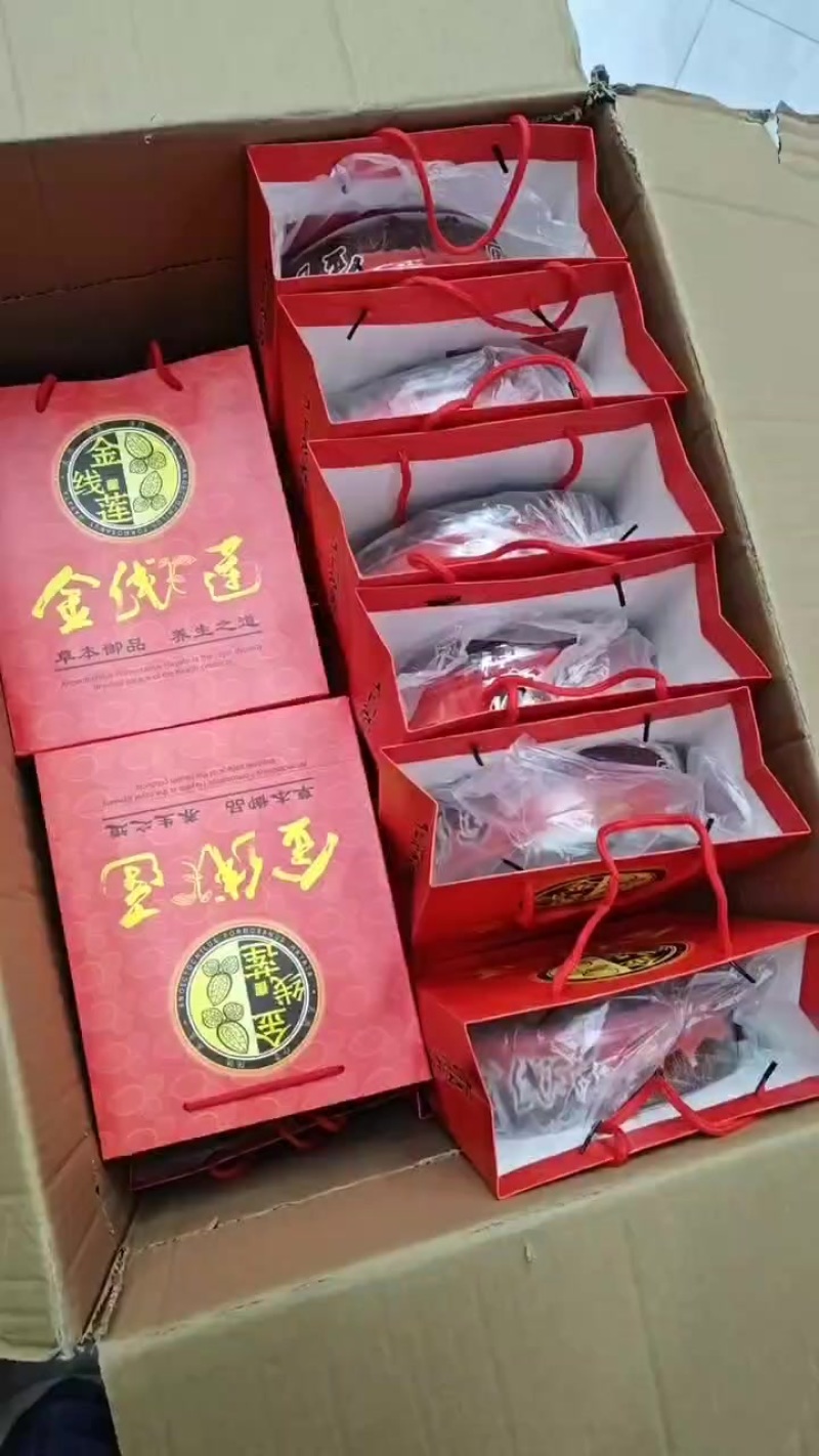 金线莲
