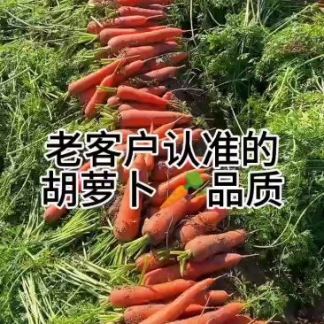 胡萝卜