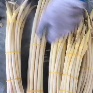 藕带