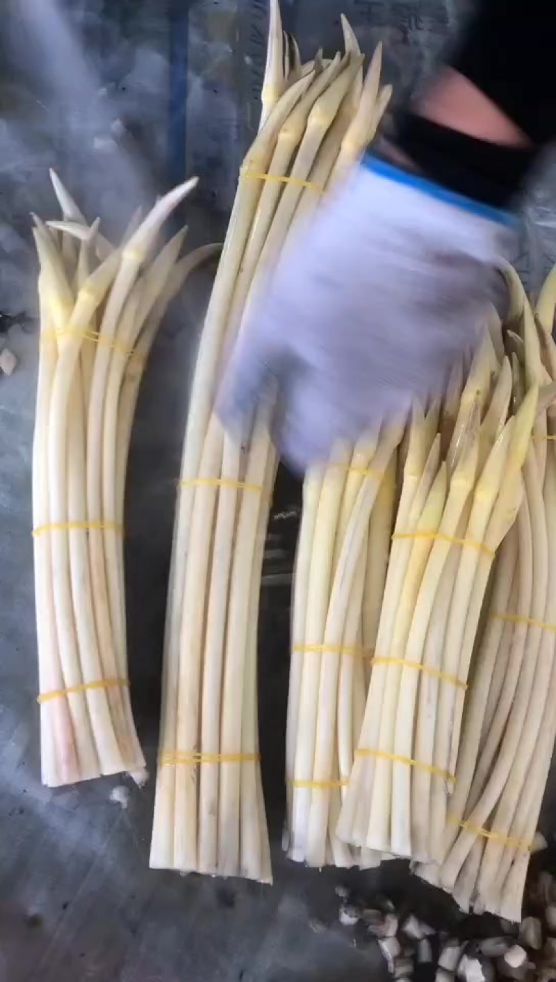 藕带