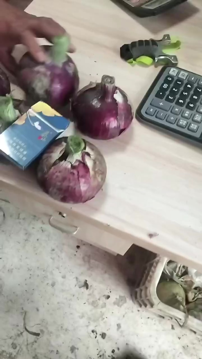 紫皮半高桩