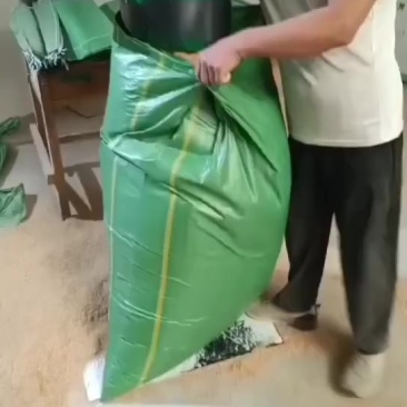 打包稻壳装货中