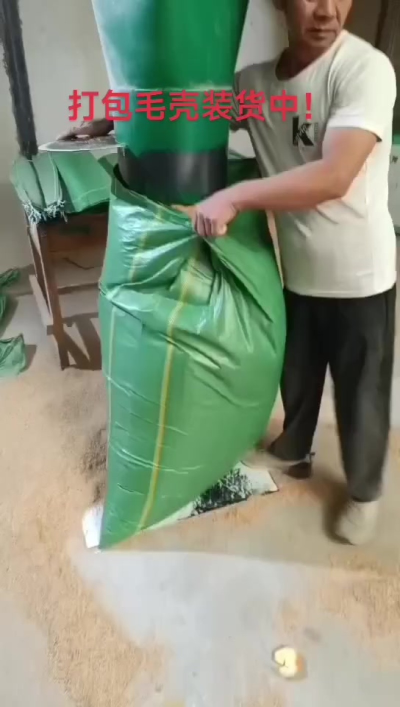 打包稻壳装货中