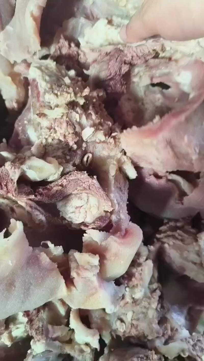 牛头，无油无淋巴