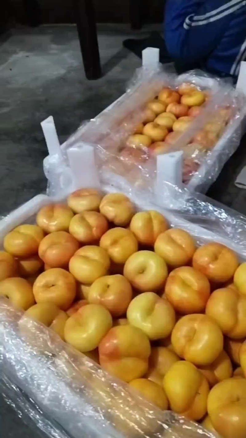精品套袋油蟠，口感不错！