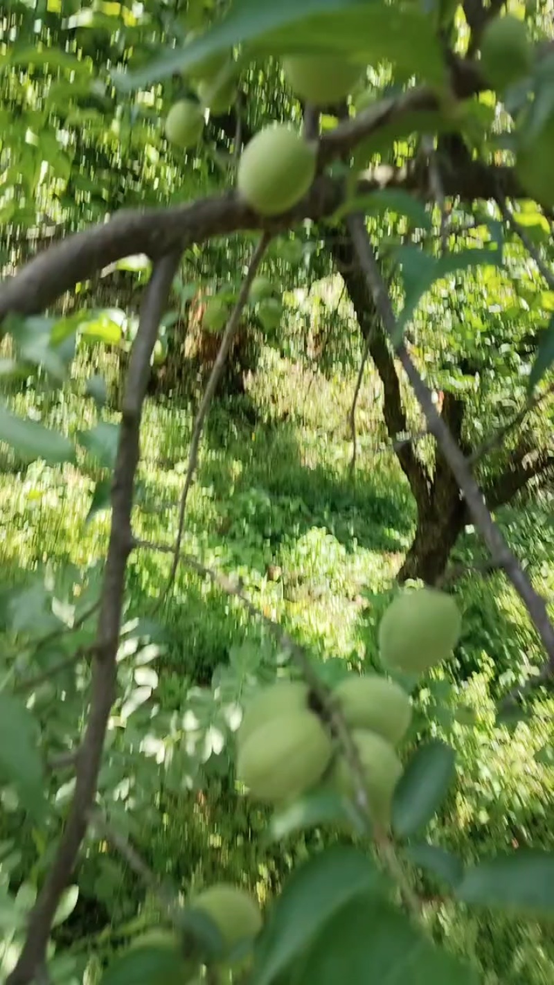 有需要的老板联系我