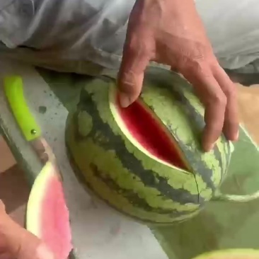 大量供应西瓜