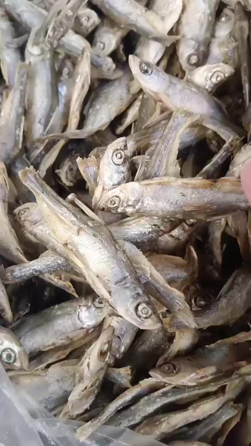 水煮亮皮条，十成干，质量好需要的老板联系我