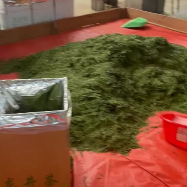 龙井茶