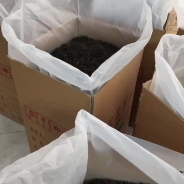 凤凰单丛密兰香批发