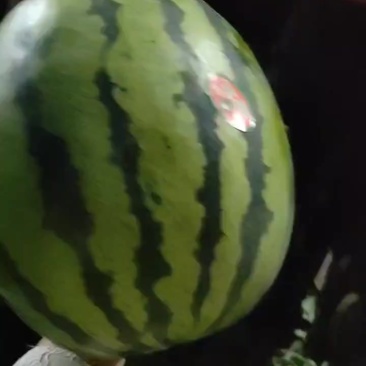 我们这的甜王大量上市