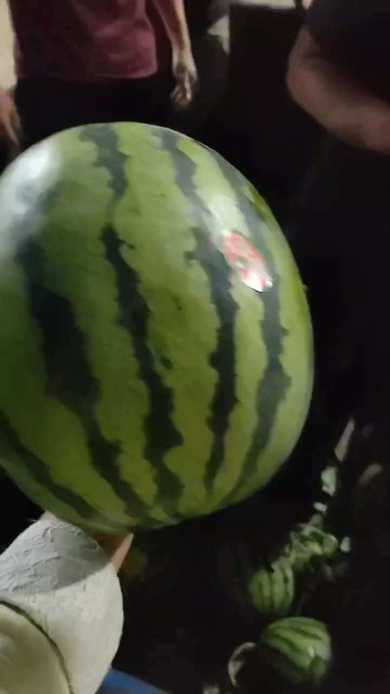 我们这的甜王大量上市