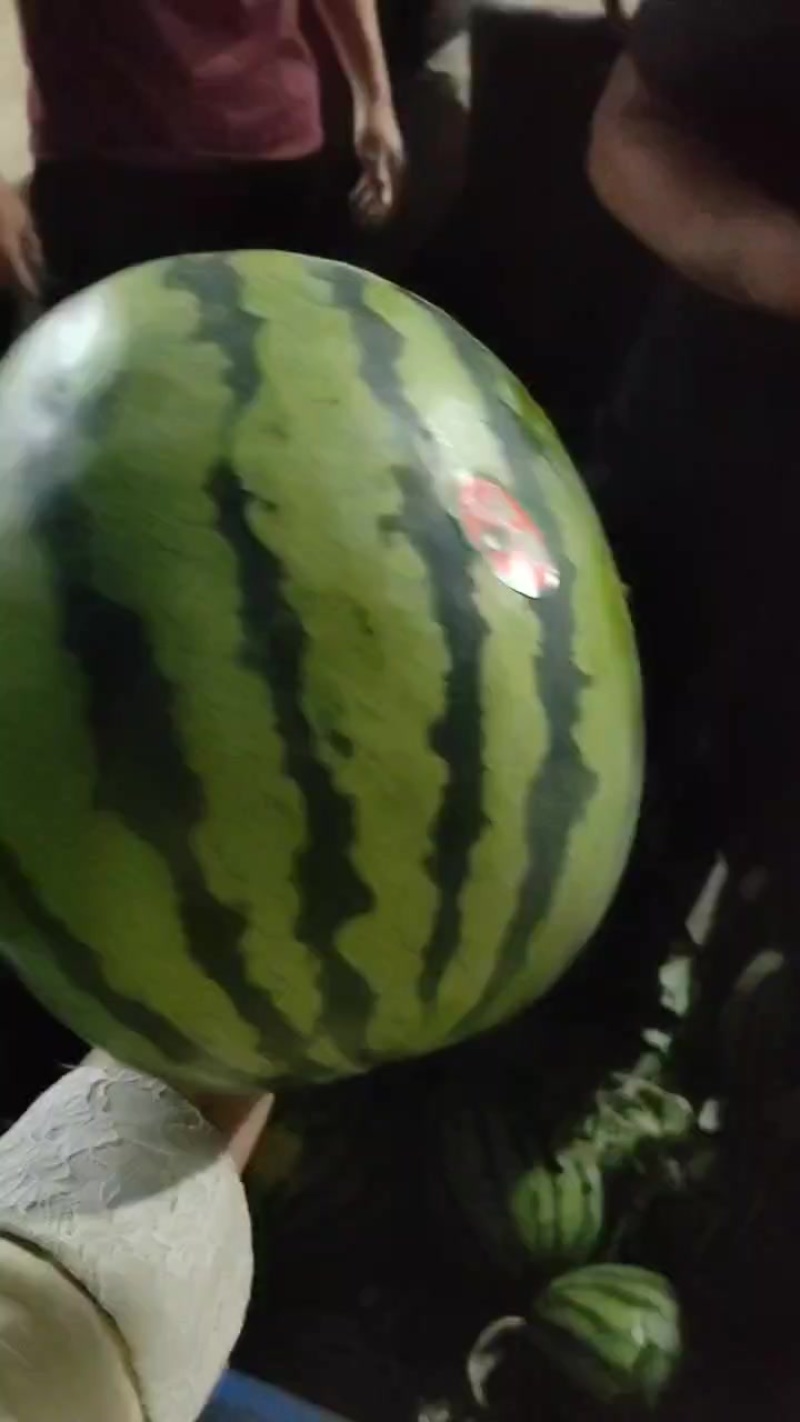 我们这的甜王大量上市