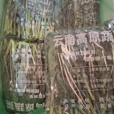 羽衣甘蓝