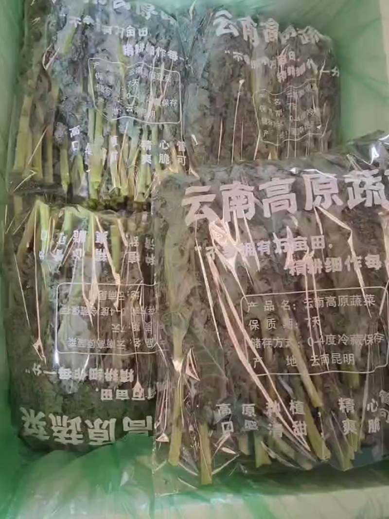 羽衣甘蓝