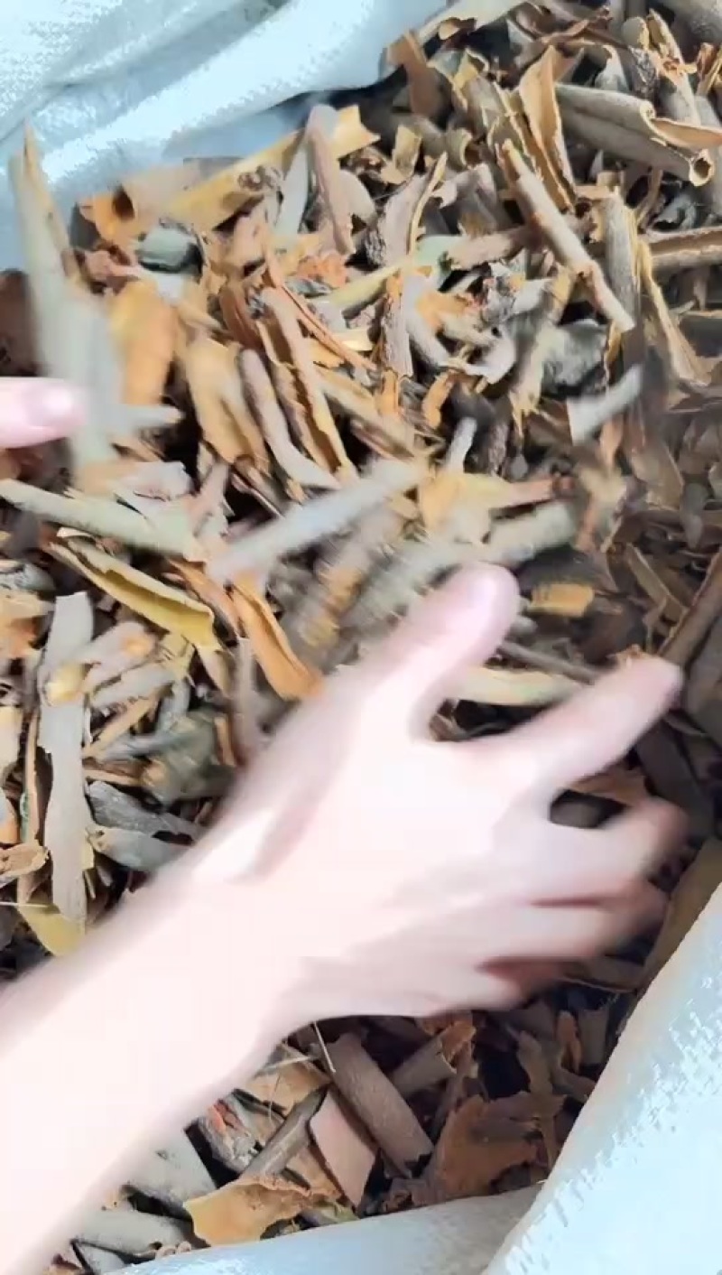 新货桂碎