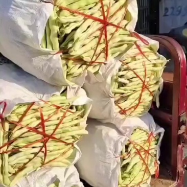 芸豆大量有货，喜欢的老板可以来了