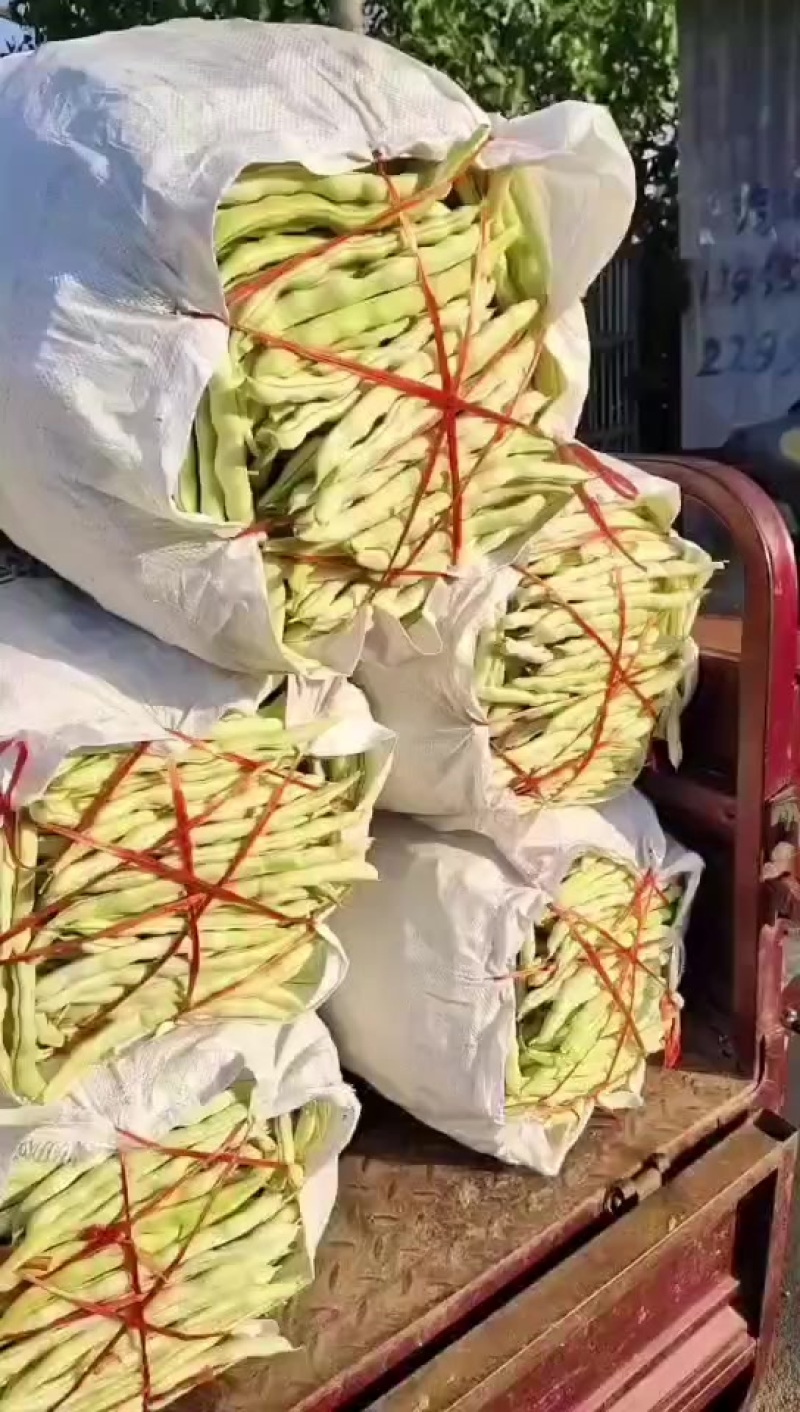 芸豆大量有货，喜欢的老板可以来了