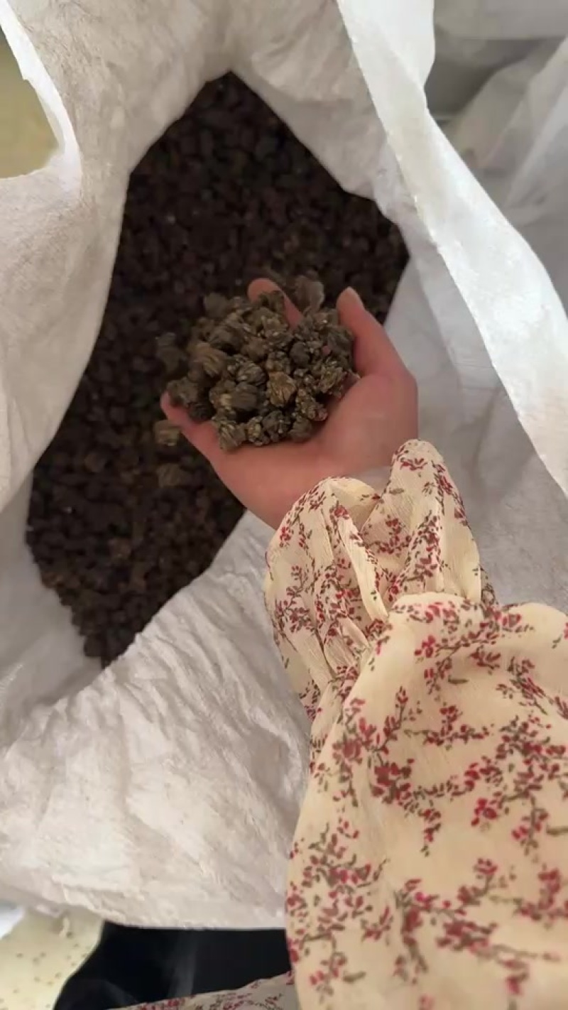 水洗两遍以上家种猫爪草颗粒饱满大小均匀基地直发规格齐全