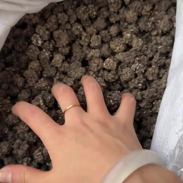 猫爪草水洗两遍干净无杂