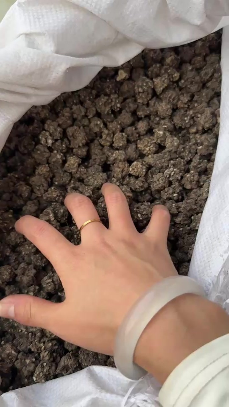 猫爪草水洗两遍干净无杂