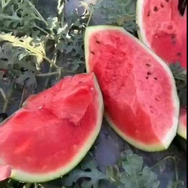 甜王