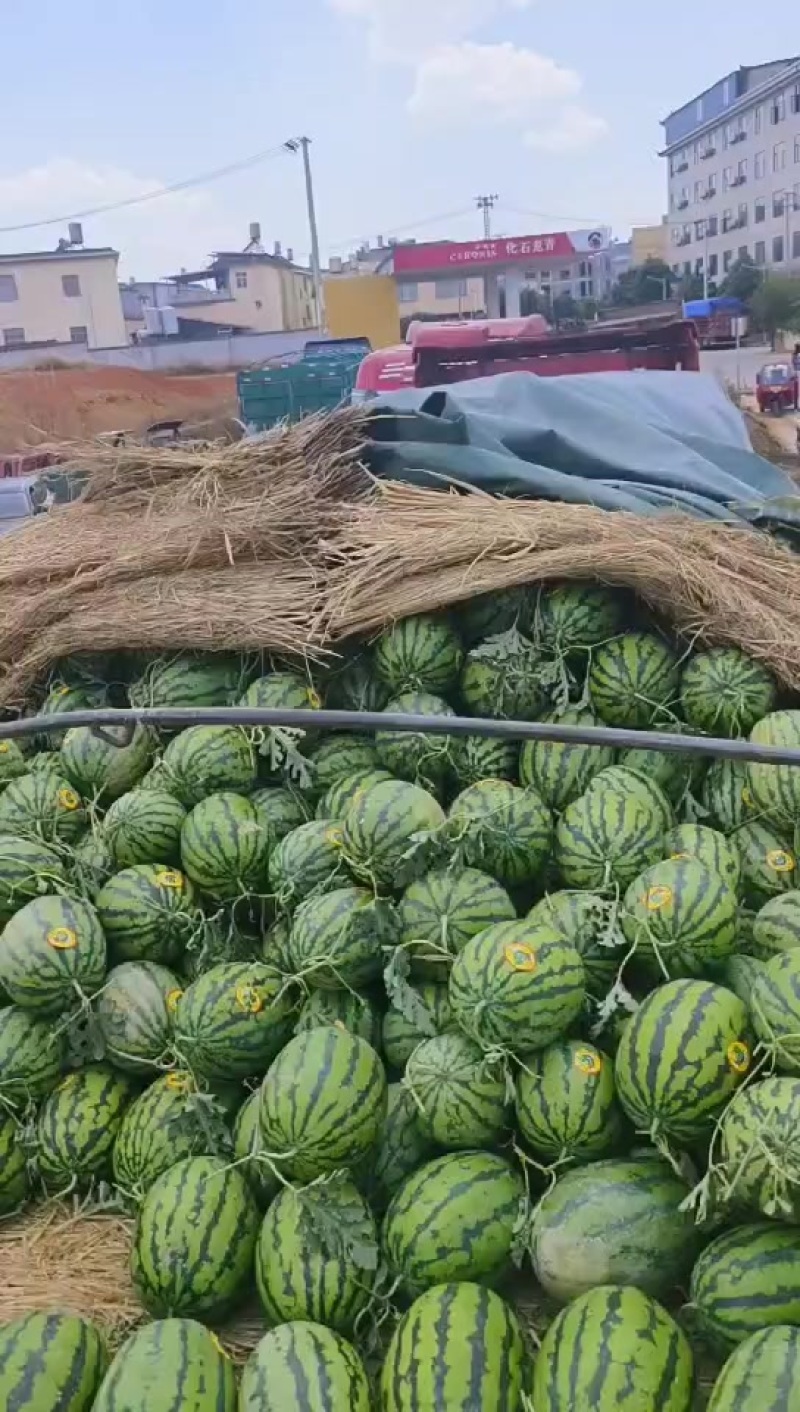 甜王